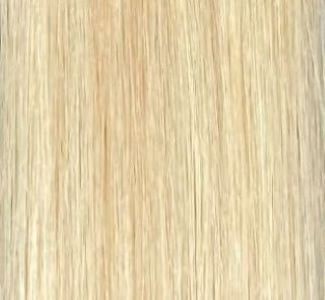 INCHES Tape In Hair Extensions Color Blend  #12/22