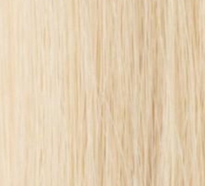 INCHES Hand Tied Wefts - Color 613